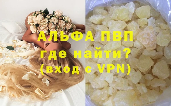ECSTASY Аша