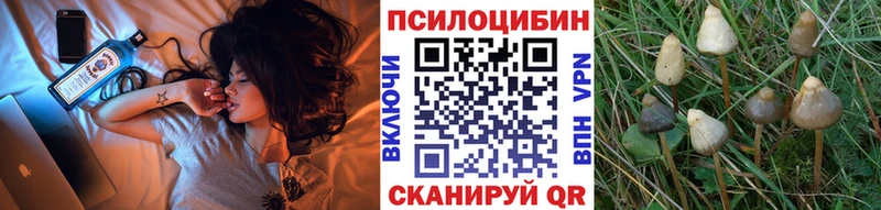 Галлюциногенные грибы ЛСД  Ржев 